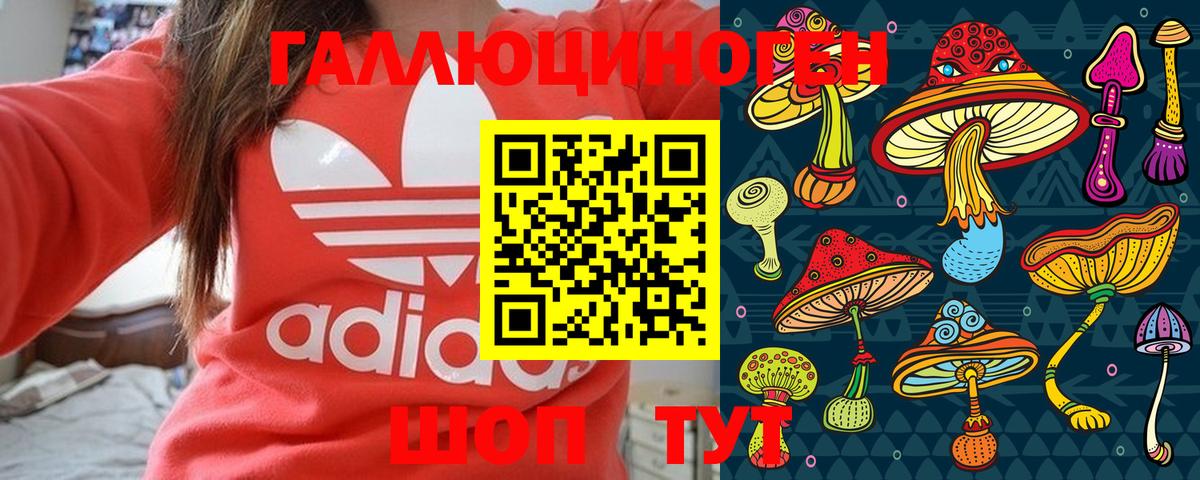 Сибай  Галлюциногенные грибы Magic Shrooms  Вход с VPN  Галлюциногенные грибы Psilocybine cubensis 