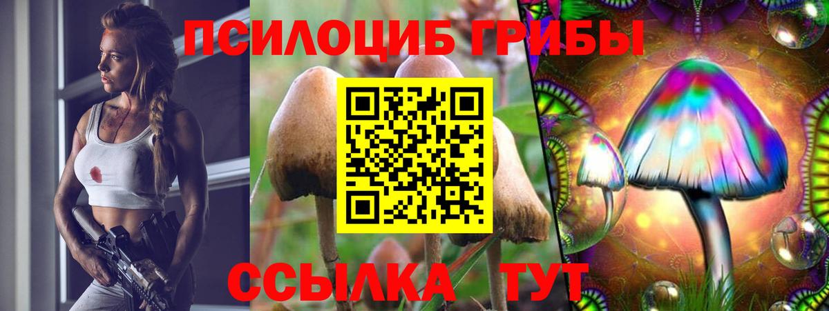 Псилоцибиновые грибы прущие грибы Сибай